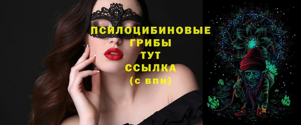 прущий лед Лиски