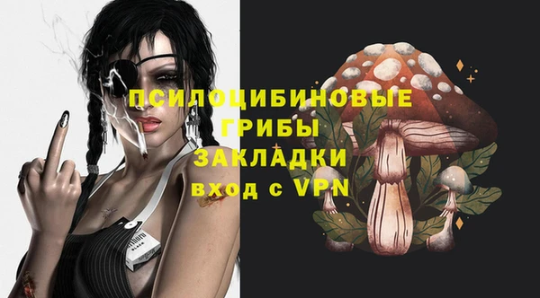 прущий лед Лиски