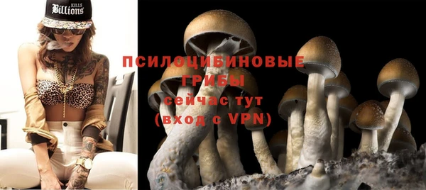 прущий лед Лиски