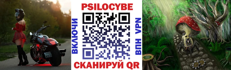 Галлюциногенные грибы Psilocybine cubensis  Купить закладки  Октябрьск 